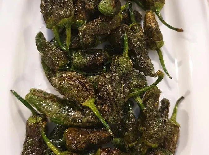شقة La Xouba *